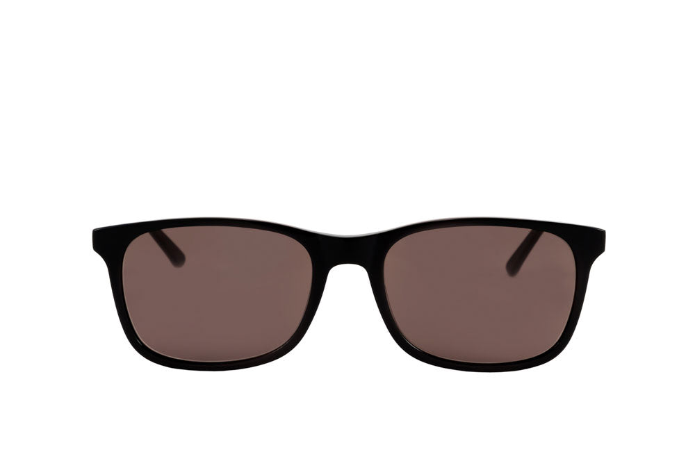 Smith Sunglasses (Brown)